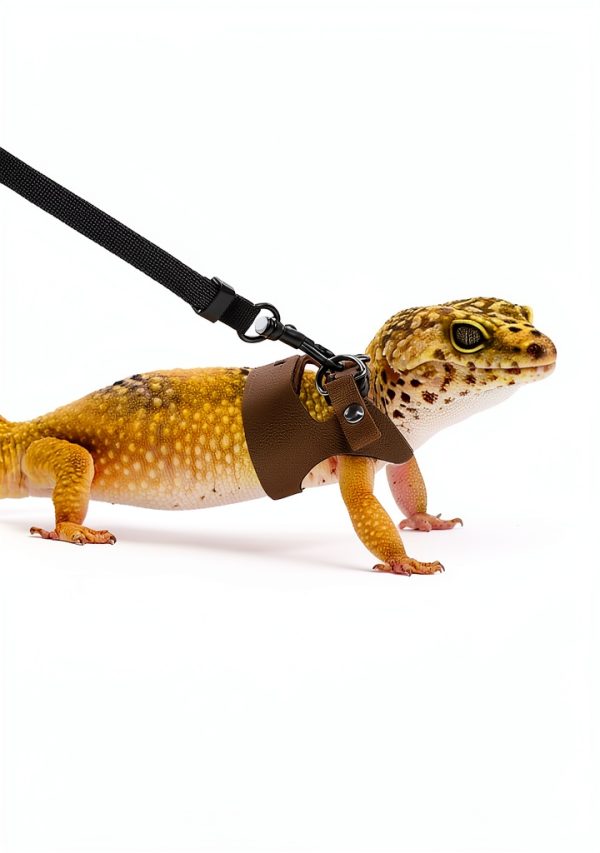 Maxqzin Bearded Dragon Leash Harness Set Leather Reptile Pet-2