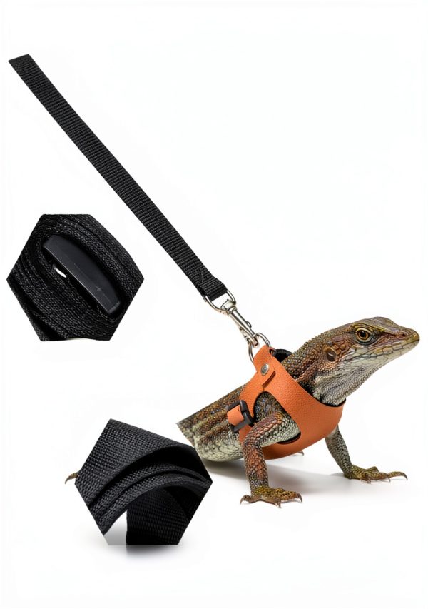 ValueBargain Bearded Dragon Harness Leash Set Adjustable-4