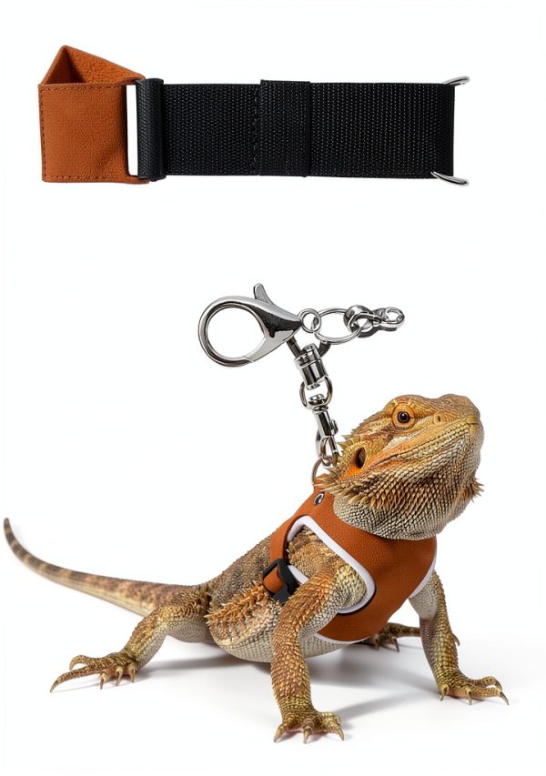 ValueBargain Bearded Dragon Harness Leash Set Adjustable-2