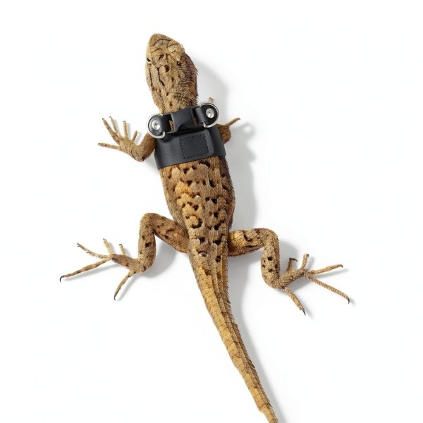 Goktvai Bearded Dragon Harness Soft Leather Reptile Leash-5