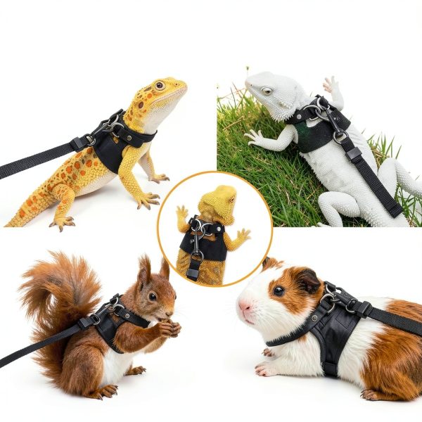 Bearded Dragon Harness Hongliang Leather Design-5