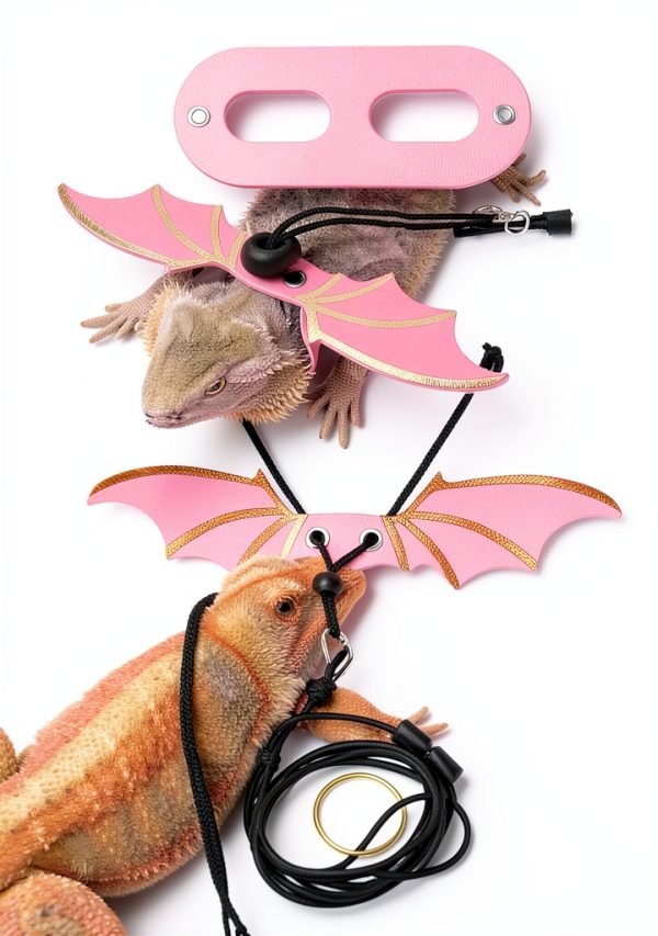 Foyods Reptile Harness Mesh Wings 3‑Size Set-4