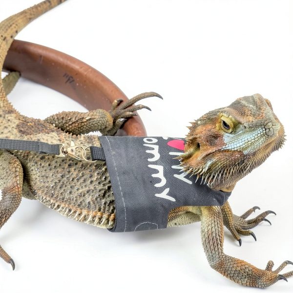 Lizard Harness by CUSOZWO Pet Supplies Adjustable-6