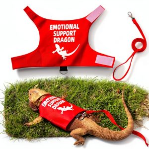 Bearded Dragon Harness RM Romansk Soft Mesh-0