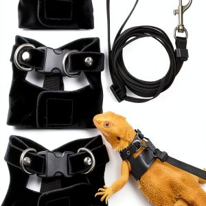 Bearded Dragon Harness Hongliang Leather Design-0