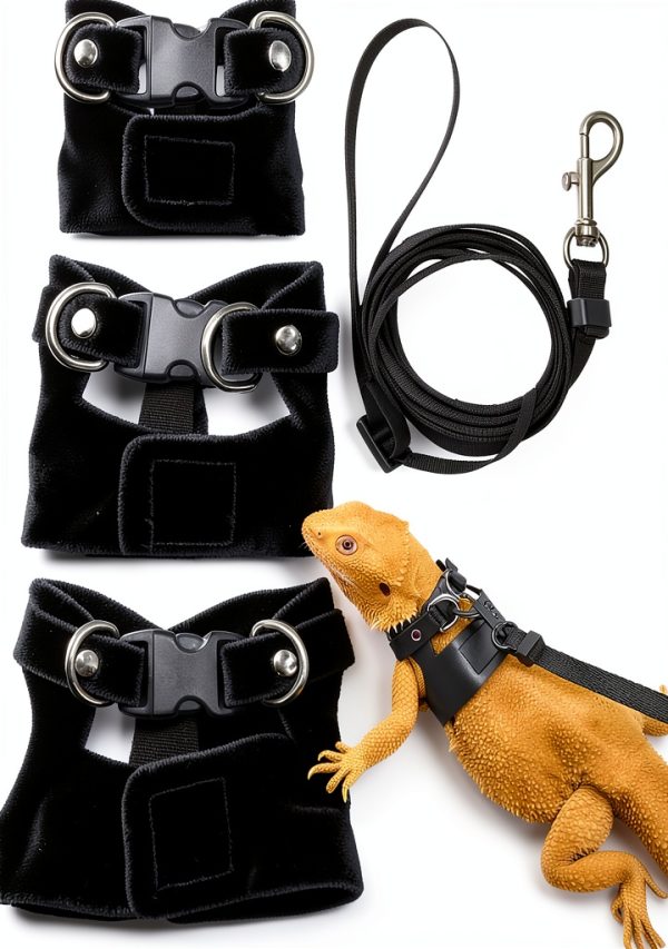 Bearded Dragon Harness Hongliang Leather Design-0