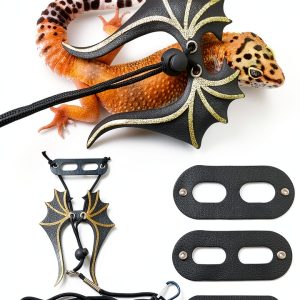 Bearded Dragon Leash Harness Set HongLiang Pet Supplies-0