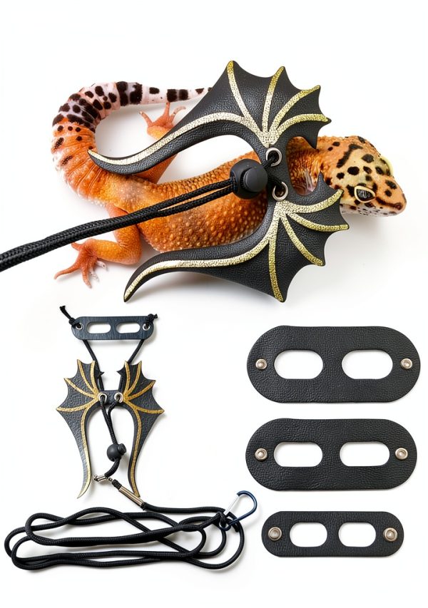 Bearded Dragon Leash Harness Set HongLiang Pet Supplies-0