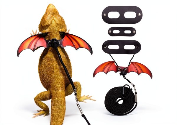 Bearded Dragon Harness by ADOGGYGO Pet Supplies-0