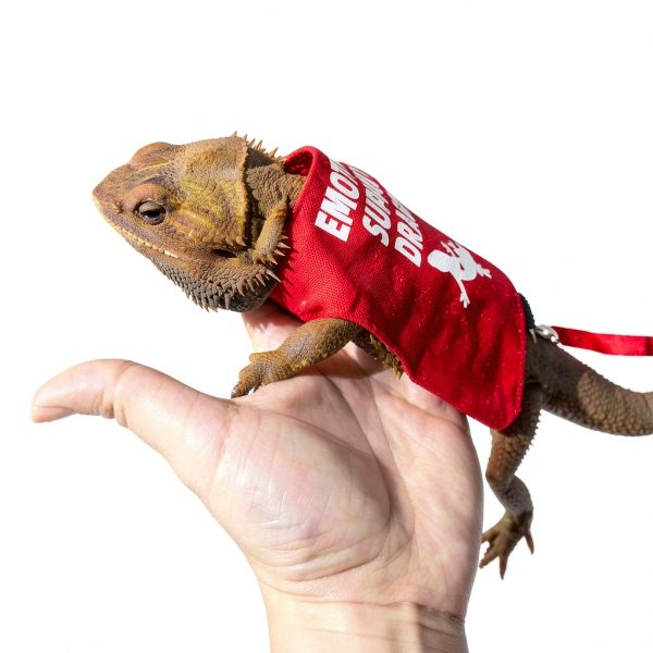 Bearded Dragon Harness RM Romansk Soft Mesh-4