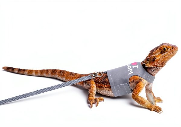 FupetDay Lizard Harness Adjustable Soft Mesh-1