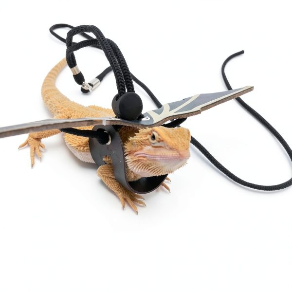 Bearded Dragon Leash CoguZed Leather Harness-4
