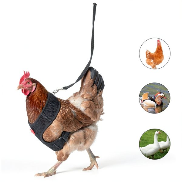 Boao Chicken Harness Nylon Adjustable Pet Vest-4