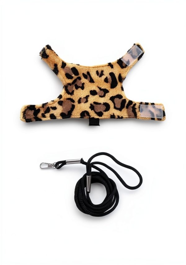 Bearded Dragon Harness Shirt SEZDEKI Pet Supplies-1
