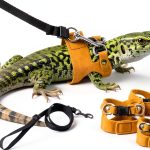 Bearded Dragon Harness and Leash by Bewudy Pet Supplies-0