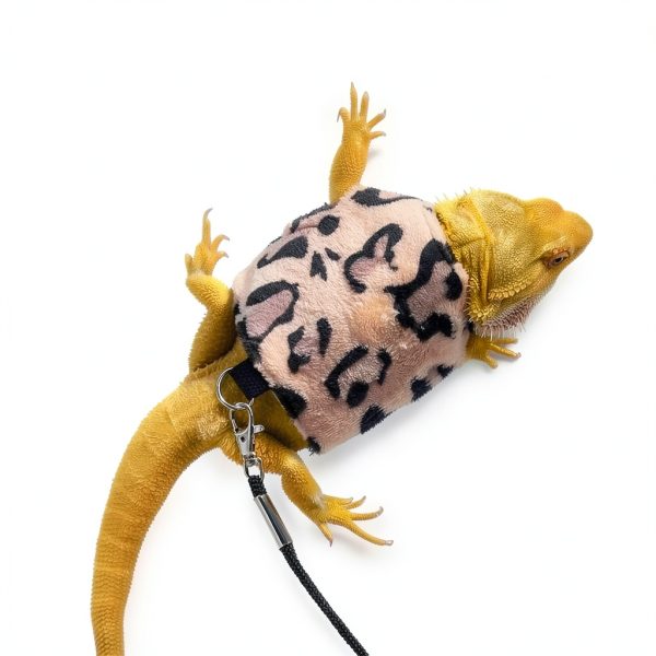 Bearded Dragon Harness Shirt SEZDEKI Pet Supplies-3
