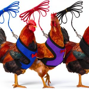 Boao Chicken Harness Nylon Adjustable Pet Vest-0