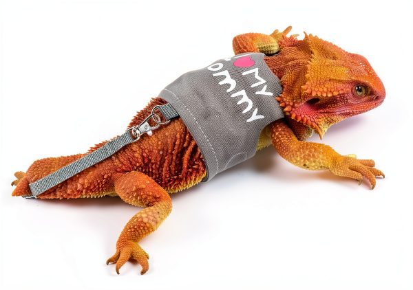 FupetDay Lizard Harness Adjustable Soft Mesh-3