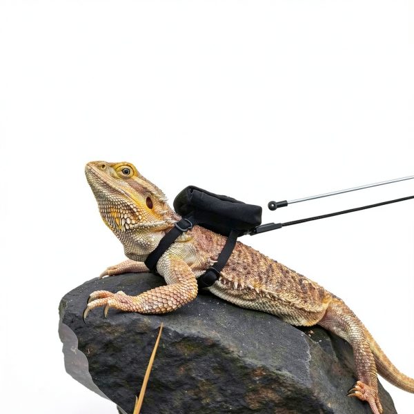 Bearded Dragon Harness Scaly Pet Pet Supplies-1