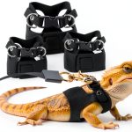 Bearded Dragon Harness Dongguan Soft Adjustable-0