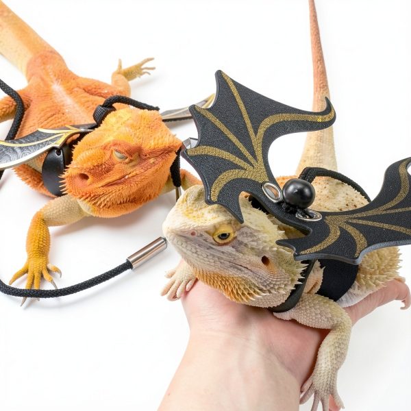 Bearded Dragon Leash Harness Set HongLiang Pet Supplies-1