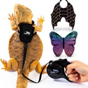 Bearded Dragon Harness Scaly Pet Pet Supplies-0