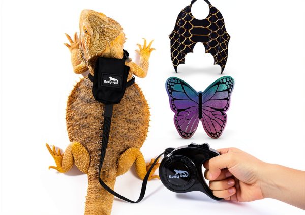 Bearded Dragon Harness Scaly Pet Pet Supplies-0