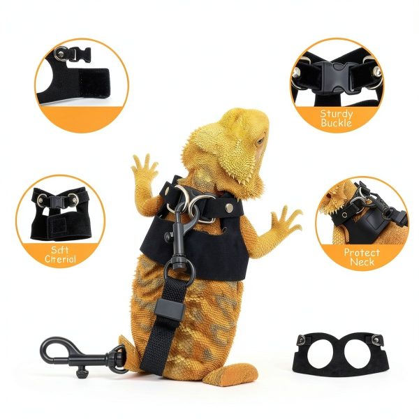 Bearded Dragon Harness Hongliang Leather Design-3