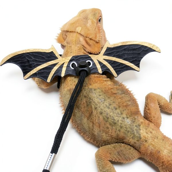 Bearded Dragon Leash CoguZed Leather Harness-5