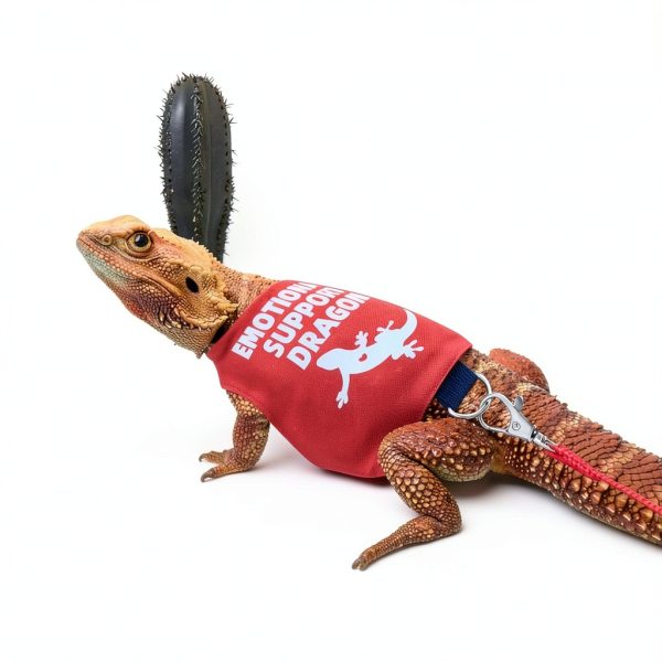 Bearded Dragon Harness RM Romansk Soft Mesh-5