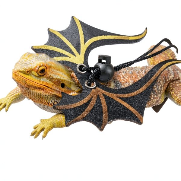 Bearded Dragon Leash Harness Set HongLiang Pet Supplies-6