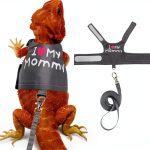 FupetDay Lizard Harness Adjustable Soft Mesh-0