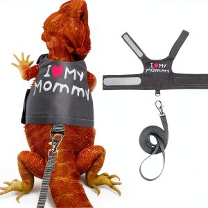 FupetDay Lizard Harness Adjustable Soft Mesh-0