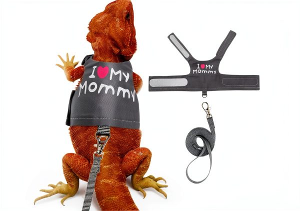 FupetDay Lizard Harness Adjustable Soft Mesh-0