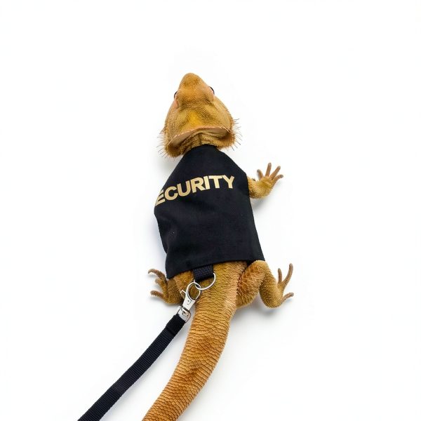 Bearded Dragon Harness SEZDEKI Adjustable-5