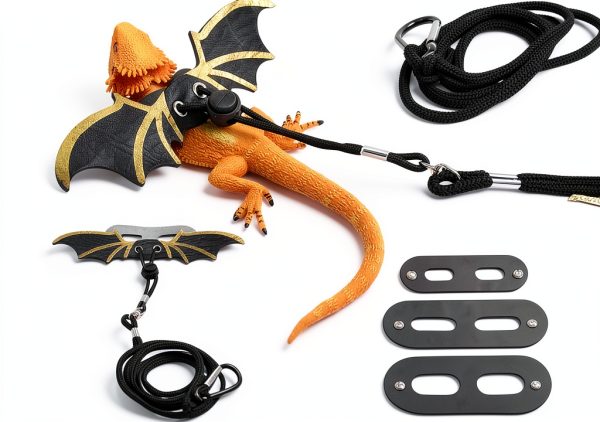 Bearded Dragon Leash CoguZed Leather Harness-6