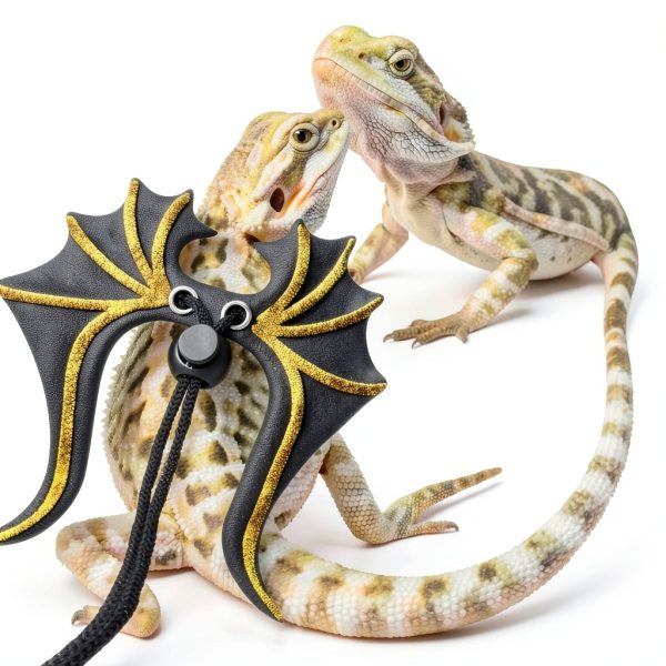 Bearded Dragon Leash Harness Set HongLiang Pet Supplies-5