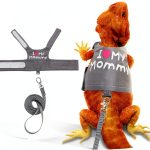 Lizard Harness by CUSOZWO Pet Supplies Adjustable-0