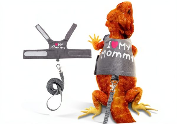 Lizard Harness by CUSOZWO Pet Supplies Adjustable-0