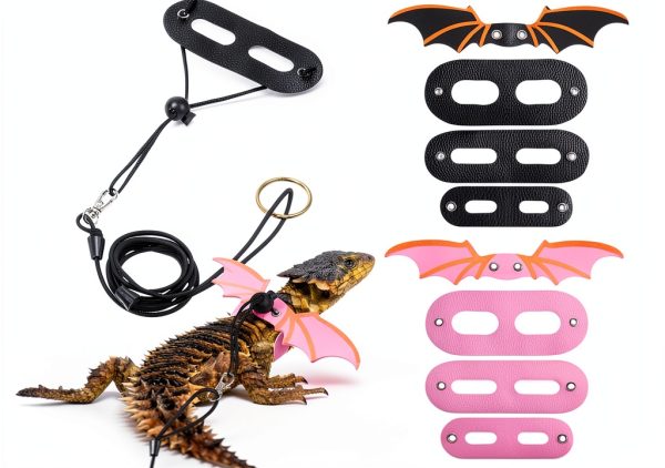 Bearded Dragon Leash Tucnoeu Leather Harness-0