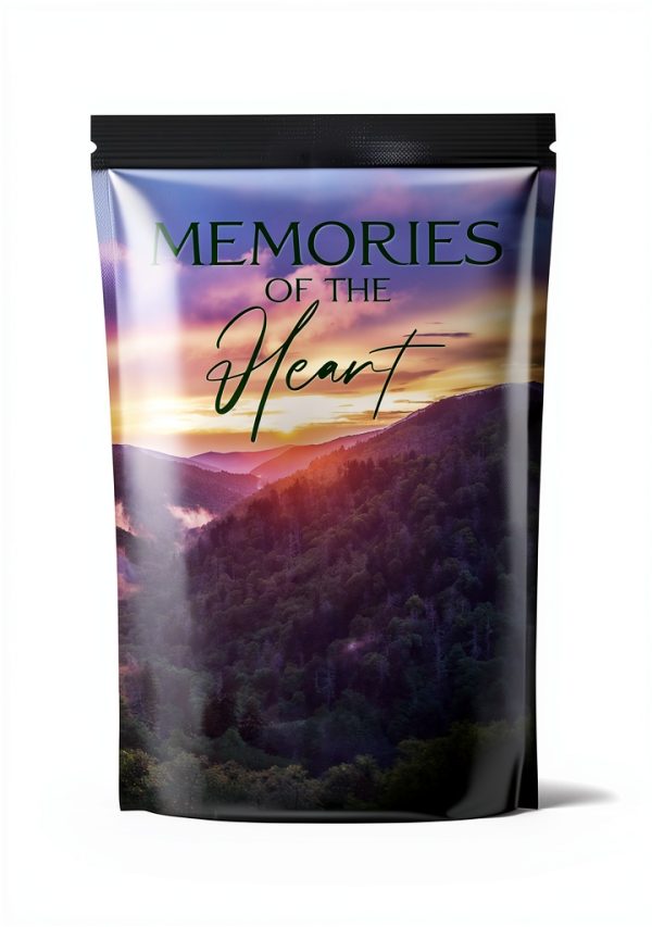 River Falls Book 3 Kindle Edition Contemporary Christian Fiction Novel-0